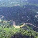 amazonia_biodiversidade