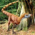 dinossauros_sinosauropteryx