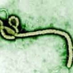 ebola