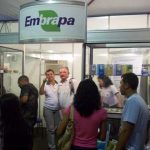 stand-embrapa