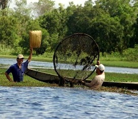 pesca baixada